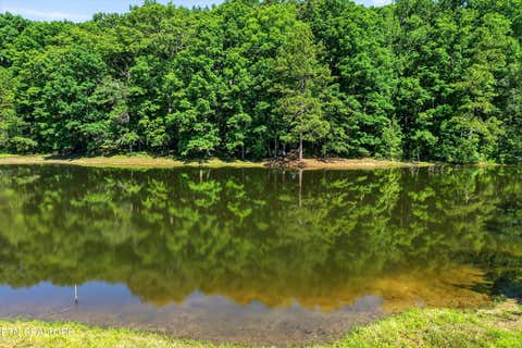 Tiny photo for Highway 163, Riceville, TN 37370 (MLS # 1348202)