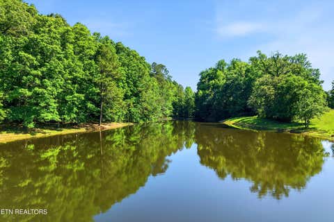 Tiny photo for Highway 163, Riceville, TN 37370 (MLS # 1348202)