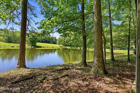 Tiny photo for Highway 163, Riceville, TN 37370 (MLS # 1348202)