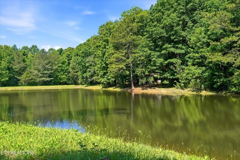 Tiny photo for Highway 163, Riceville, TN 37370 (MLS # 1348202)