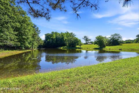 Tiny photo for Highway 163, Riceville, TN 37370 (MLS # 1348202)