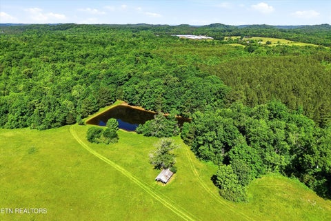 Tiny photo for Highway 163, Riceville, TN 37370 (MLS # 1348202)