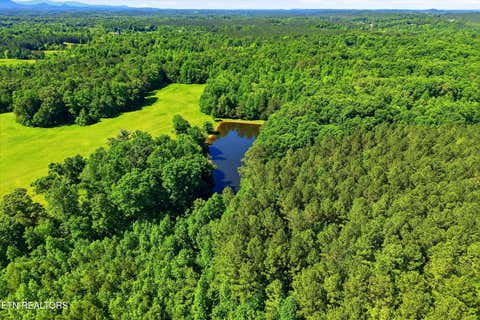 Tiny photo for Highway 163, Riceville, TN 37370 (MLS # 1348202)