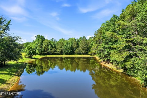 Photo of Highway 163, Riceville, TN 37370 (MLS # 1348202)