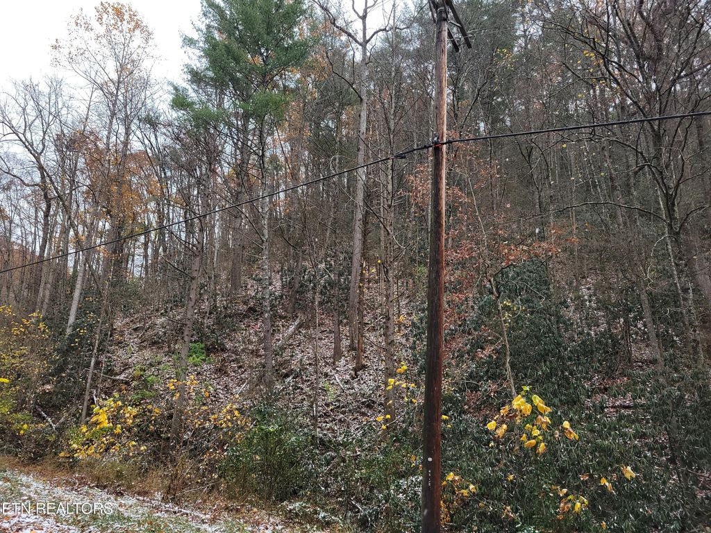 Photo of 3536 Alpine Drive, Sevierville, TN 37876 (MLS # 1322576)