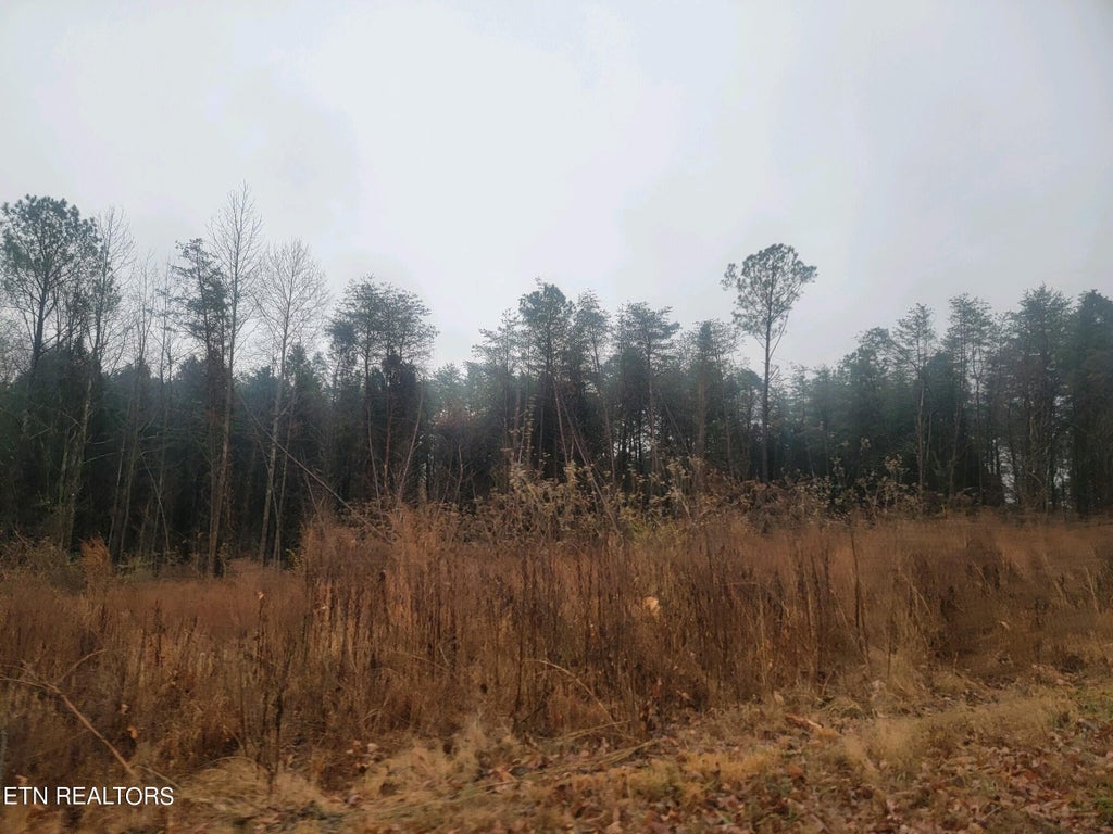 Photo of 6970 Kings Hill Rd, Spring City, TN 37381 (MLS # 1250249)