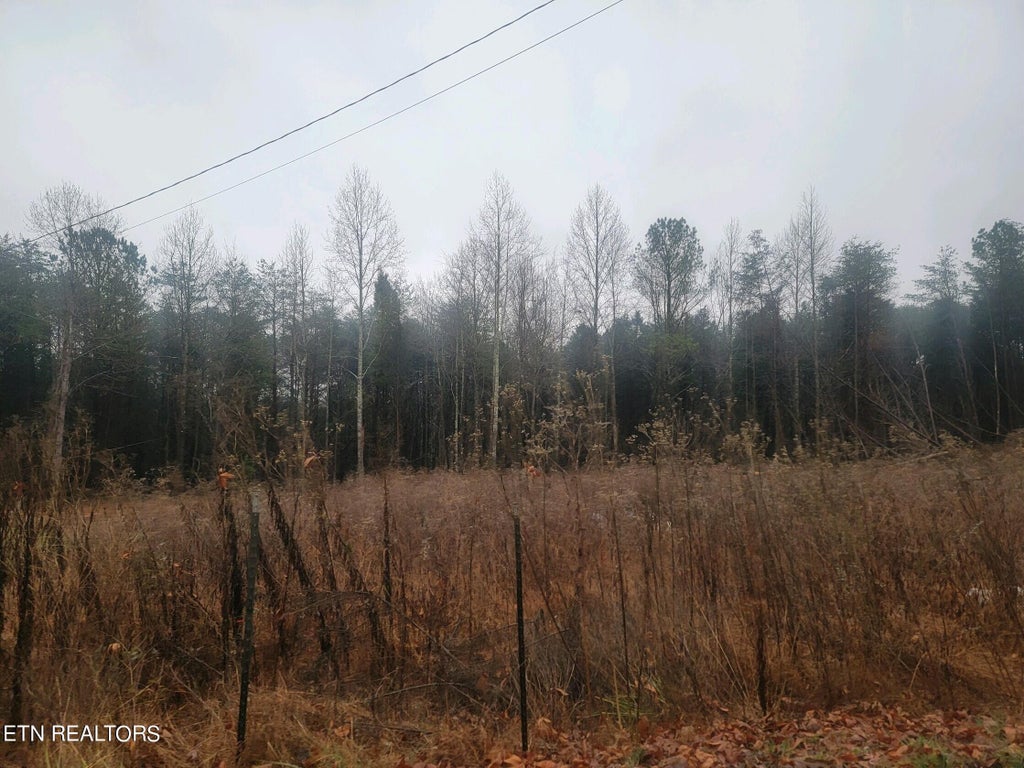 Photo of 6970 Kings Hill Rd, Spring City, TN 37381 (MLS # 1250249)