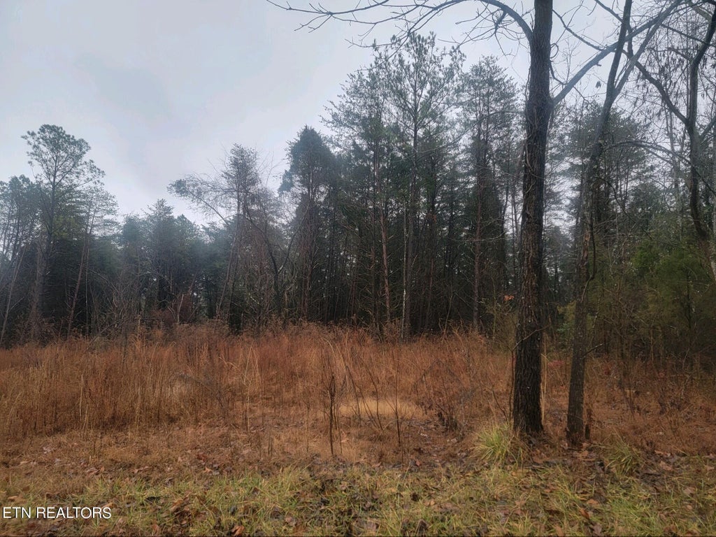 Photo of 6970 Kings Hill Rd, Spring City, TN 37381 (MLS # 1250249)
