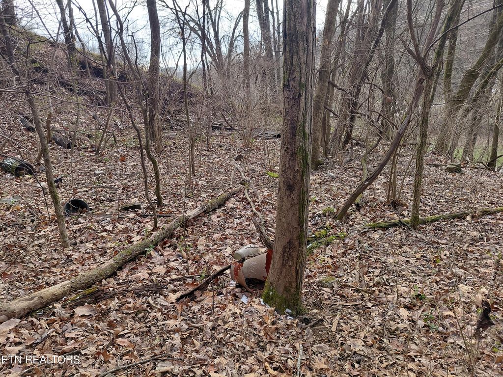 Photo of 4266 Miser Station Rd. Rd, Louisville, TN 37777 (MLS # 1327852)