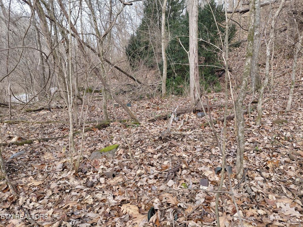 Photo of 4266 Miser Station Rd. Rd, Louisville, TN 37777 (MLS # 1327852)