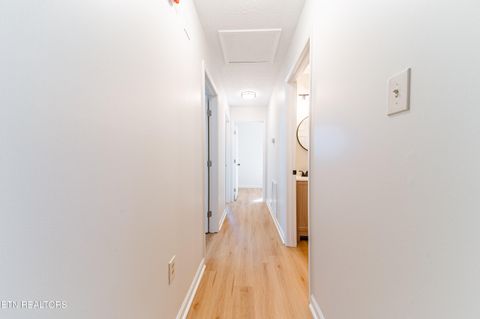 Tiny photo for 1506 Rhododendron Court, Knoxville, TN 37931 (MLS # 1334250)