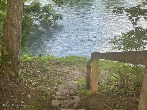 Tiny photo for 1982 Holston Shores Drive, Rutledge, TN 37861 (MLS # 1329604)