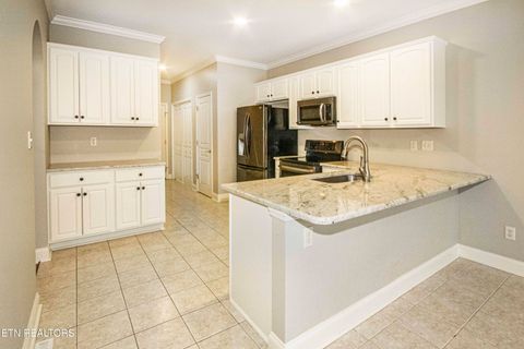 Tiny photo for 11605 San Martin Lane, Knoxville, TN 37934 (MLS # 1333108)