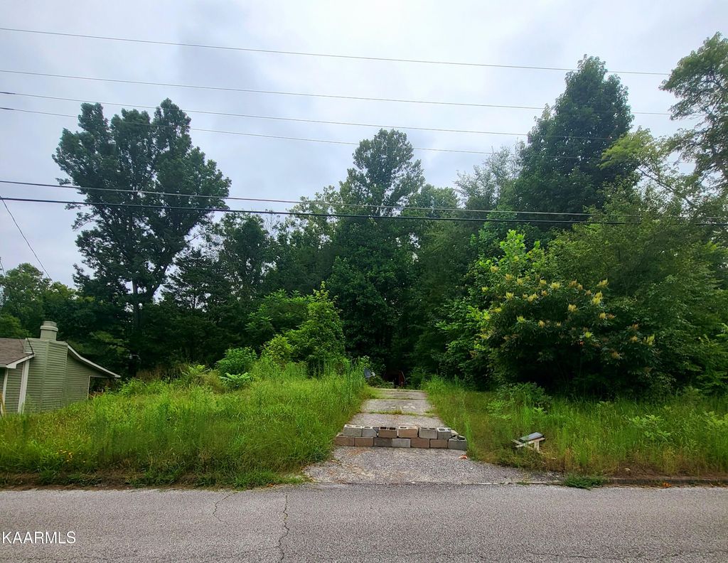 Photo of 530 Sleepy Hollow Rd, Oliver Springs, TN 37840 (MLS # 1236287)