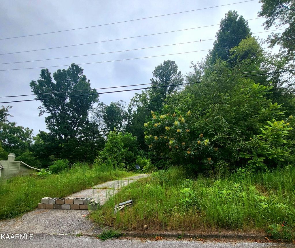 Photo of 530 Sleepy Hollow Rd, Oliver Springs, TN 37840 (MLS # 1236287)