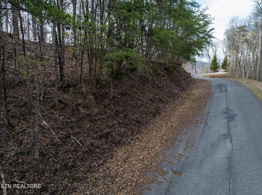 Photo of 73 Grandpa's Ridge, Sharps Chapel, TN 37866 (MLS # 1300677)