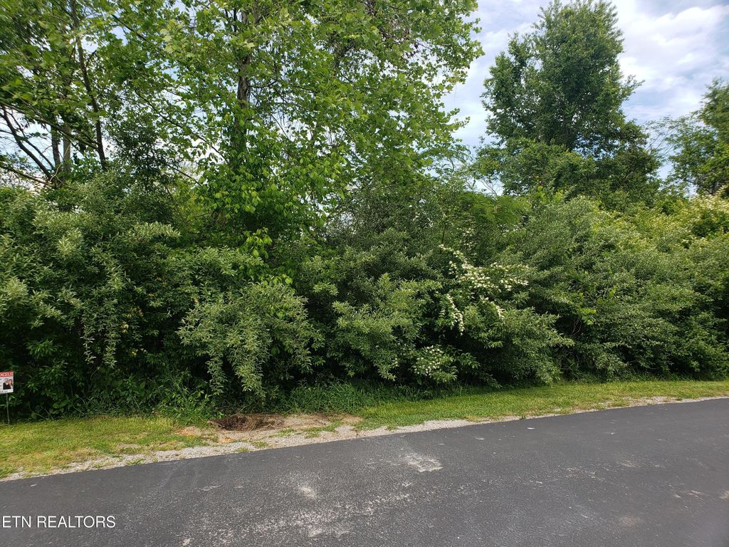 Photo of 108 Wataga Lane, Loudon, TN 37774 (MLS # 1322634)