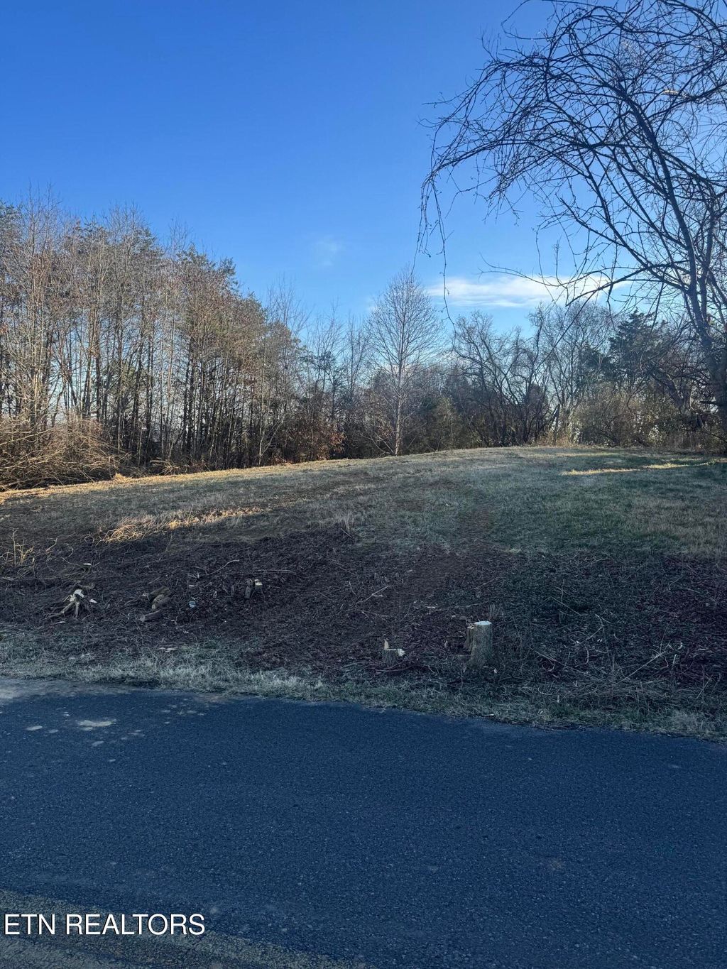 Photo of 2490 Whittle Lot 2 Rd, New Market, TN 37820 (MLS # 1327041)