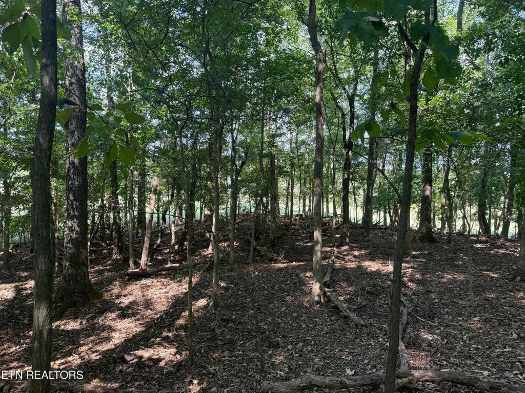 Photo of 21340 Martel Rd, Lenoir City, TN 37772 (MLS # 1357907)