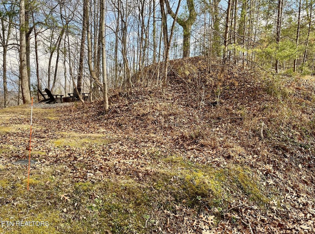 Photo of Dollys Drive, Sevierville, TN 37868 (MLS # 1325981)