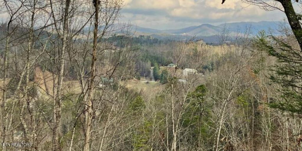 Photo of Dollys Drive, Sevierville, TN 37868 (MLS # 1325981)