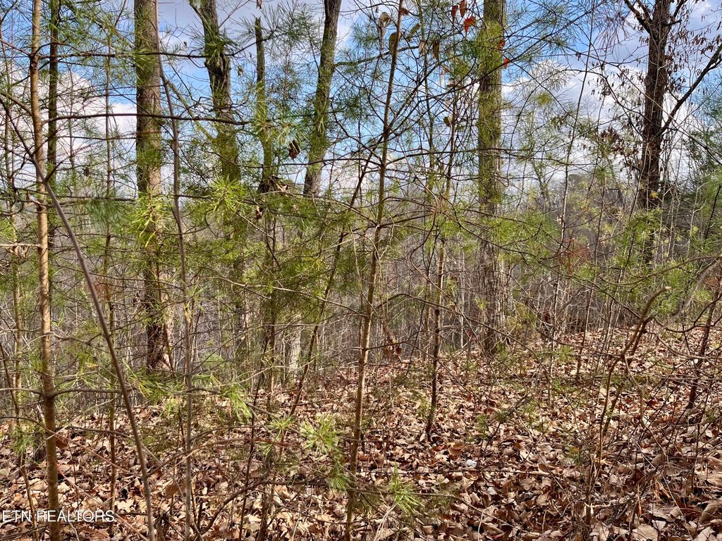 Photo of Dollys Drive, Sevierville, TN 37868 (MLS # 1325981)