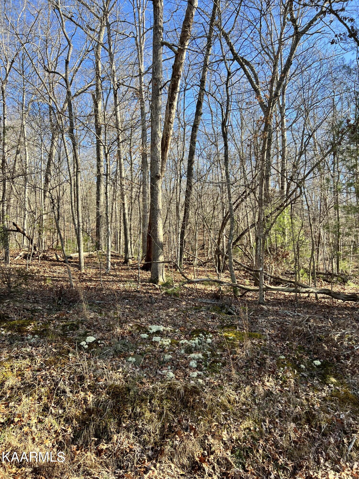 Photo 1 of 1 of 14 Homberg Lane land