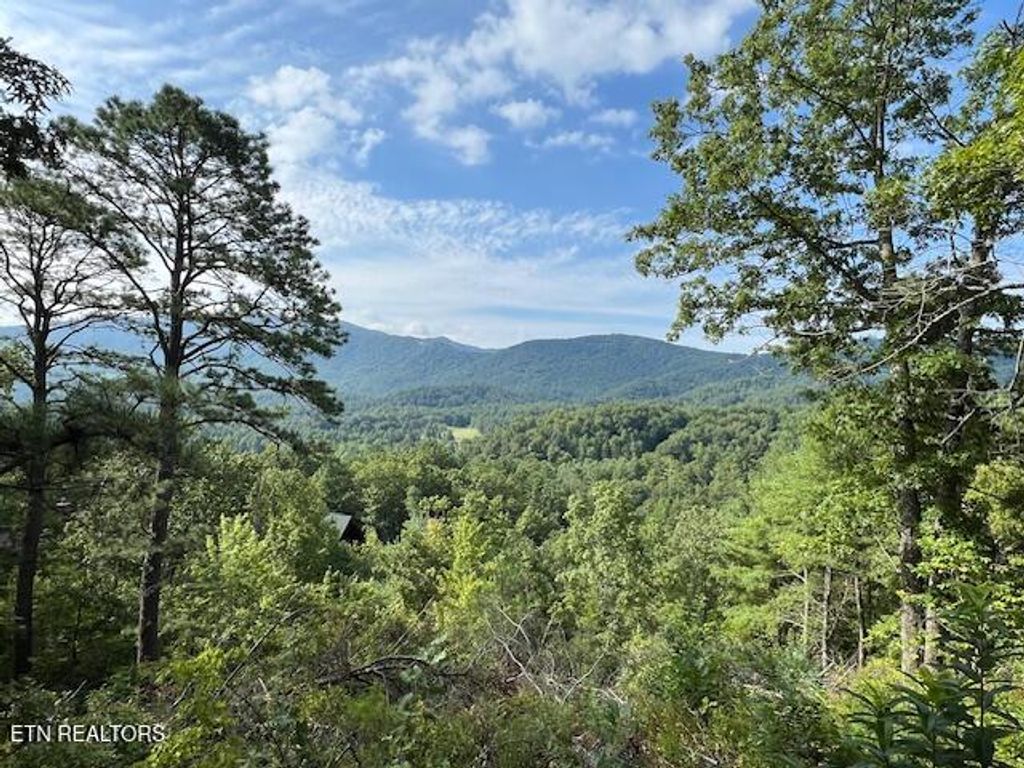 Photo of Tolliver Tr, Townsend, TN 37882 (MLS # 1273792)