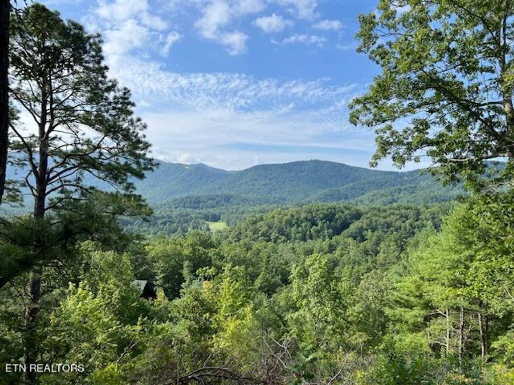 Photo of Tolliver Tr, Townsend, TN 37882 (MLS # 1273792)