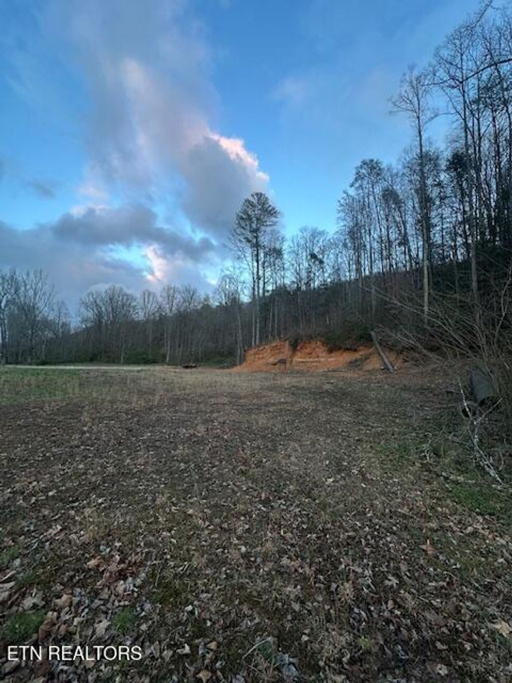 Photo of 320 Frost Bottom Rd, Oliver Springs, TN 37840 (MLS # 1333044)