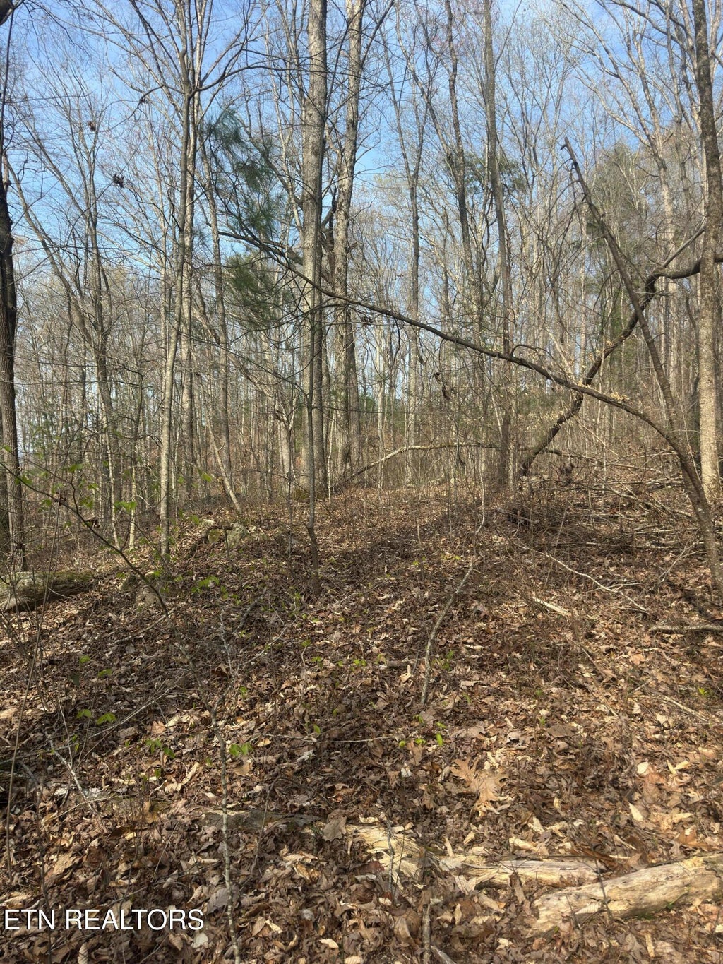 Photo of 320 Frost Bottom Rd, Oliver Springs, TN 37840 (MLS # 1333044)