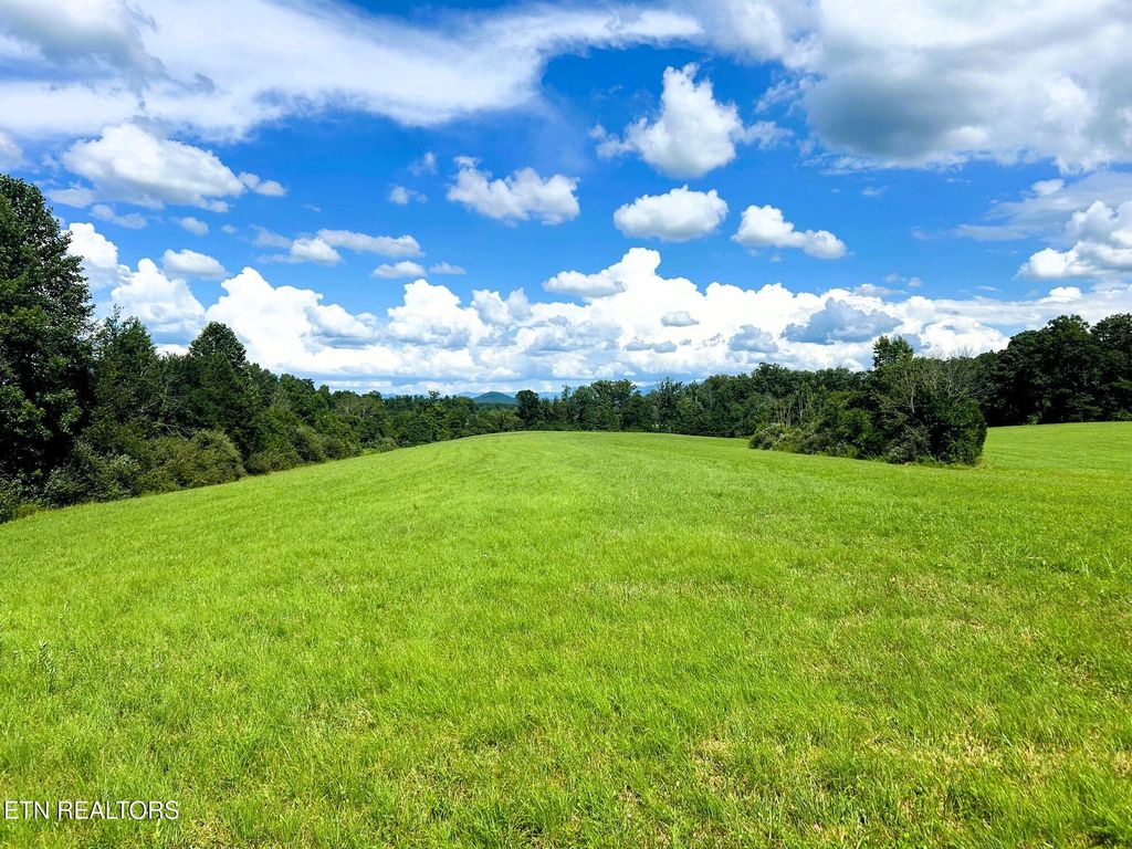 Photo of 00 HIghway 68, Tellico Plains, TN 37385 (MLS # 1309954)