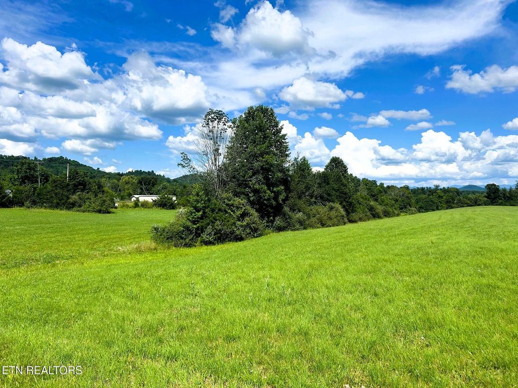 Photo of 00 HIghway 68, Tellico Plains, TN 37385 (MLS # 1309954)