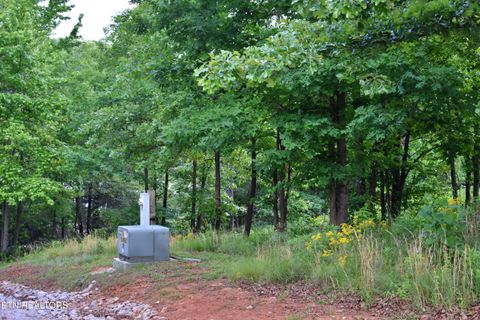 Tiny photo for 56 Blue Heron Bluff Rd, Harriman, TN 37748 (MLS # 1341349)