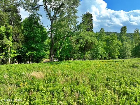 Tiny photo for 56 Blue Heron Bluff Rd, Harriman, TN 37748 (MLS # 1341349)