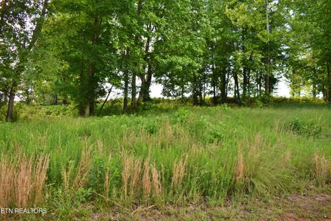 Tiny photo for 56 Blue Heron Bluff Rd, Harriman, TN 37748 (MLS # 1341349)