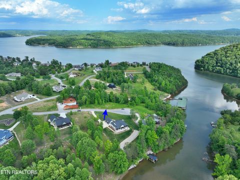 Tiny photo for 56 Blue Heron Bluff Rd, Harriman, TN 37748 (MLS # 1341349)
