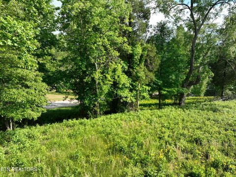 Tiny photo for 56 Blue Heron Bluff Rd, Harriman, TN 37748 (MLS # 1341349)