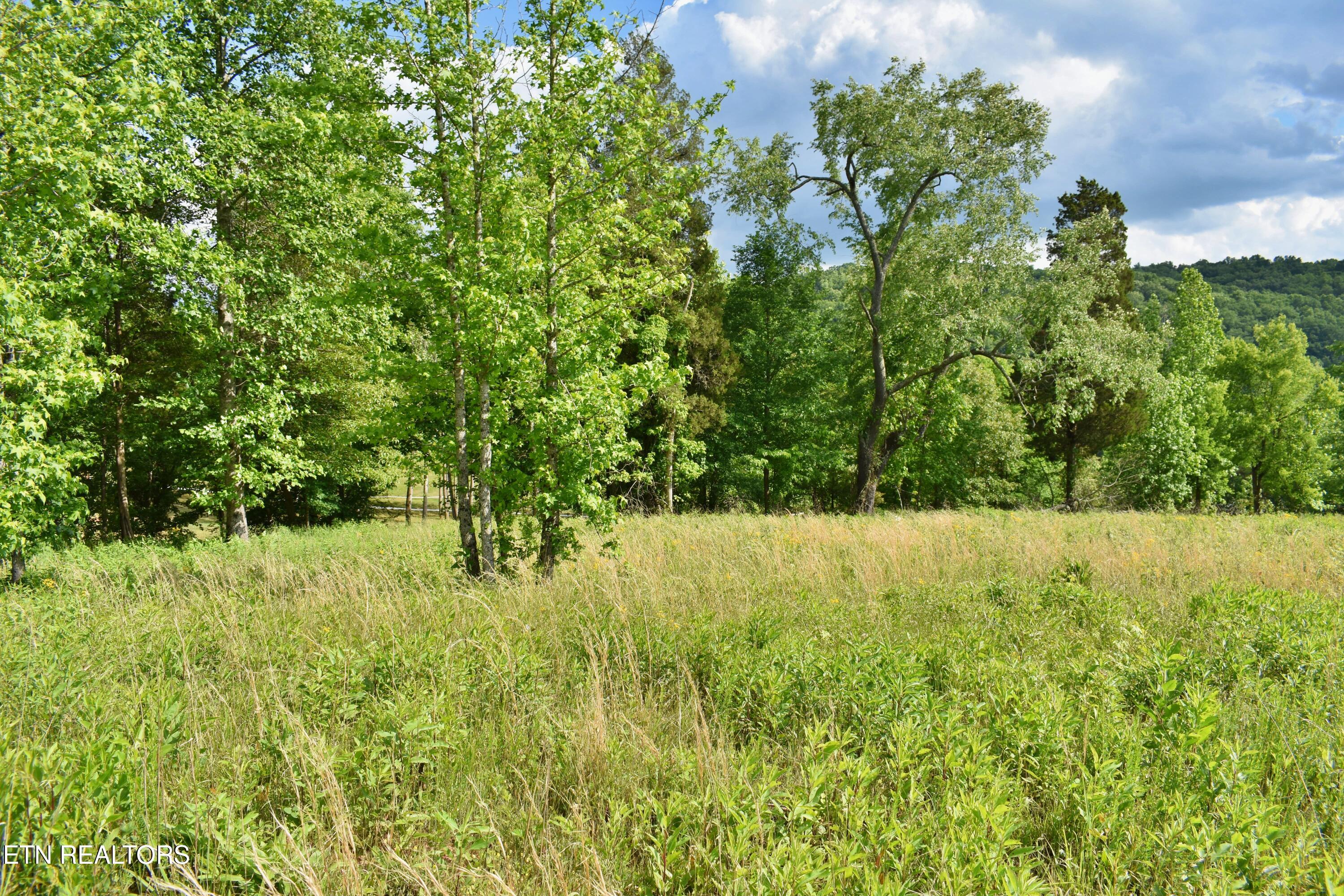 Lot 56 Blue Heron Bluff Rd