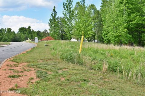 Tiny photo for 56 Blue Heron Bluff Rd, Harriman, TN 37748 (MLS # 1341349)