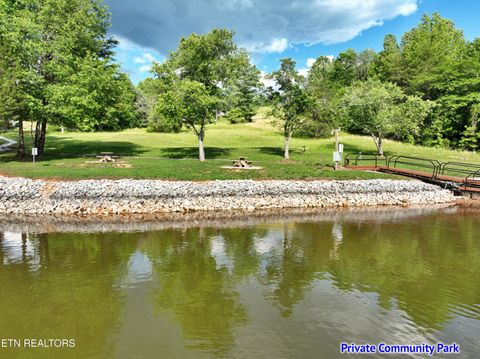 Tiny photo for 56 Blue Heron Bluff Rd, Harriman, TN 37748 (MLS # 1341349)