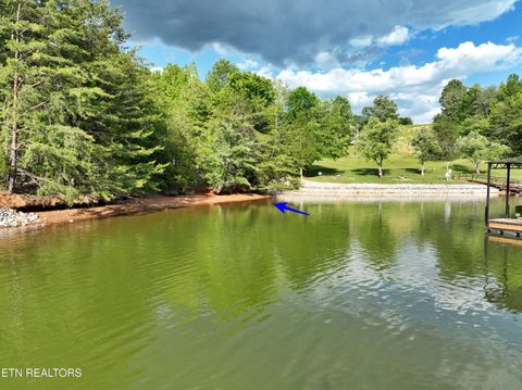 Tiny photo for 56 Blue Heron Bluff Rd, Harriman, TN 37748 (MLS # 1341349)