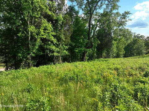 Tiny photo for 56 Blue Heron Bluff Rd, Harriman, TN 37748 (MLS # 1341349)