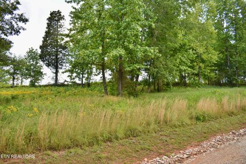 Tiny photo for 56 Blue Heron Bluff Rd, Harriman, TN 37748 (MLS # 1341349)