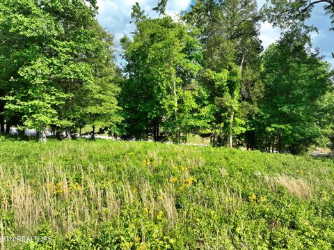 Tiny photo for 56 Blue Heron Bluff Rd, Harriman, TN 37748 (MLS # 1341349)
