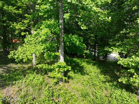 Tiny photo for 56 Blue Heron Bluff Rd, Harriman, TN 37748 (MLS # 1341349)