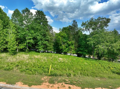 Tiny photo for 56 Blue Heron Bluff Rd, Harriman, TN 37748 (MLS # 1341349)