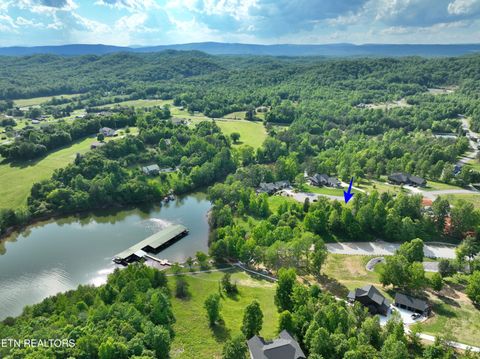 Tiny photo for 56 Blue Heron Bluff Rd, Harriman, TN 37748 (MLS # 1341349)