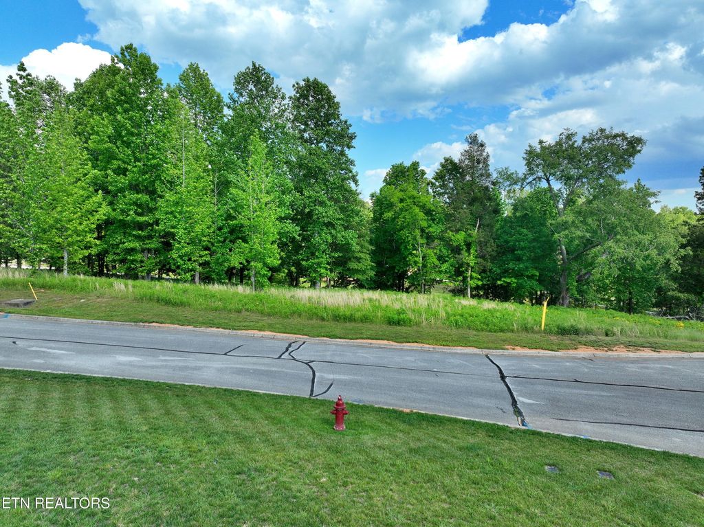 Photo of 56 Blue Heron Bluff Rd, Harriman, TN 37748 (MLS # 1341349)