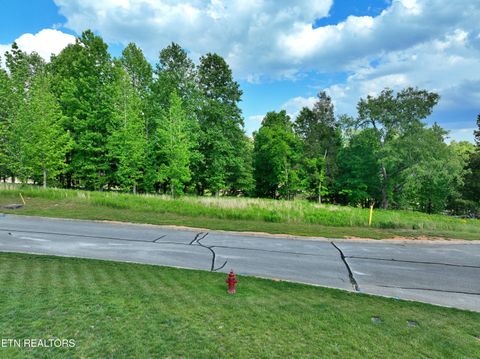 Photo of 56 Blue Heron Bluff Rd, Harriman, TN 37748 (MLS # 1341349)
